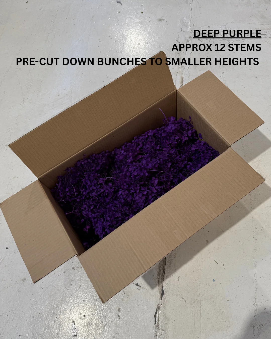 PRESERVED FLOWERS - Image 6