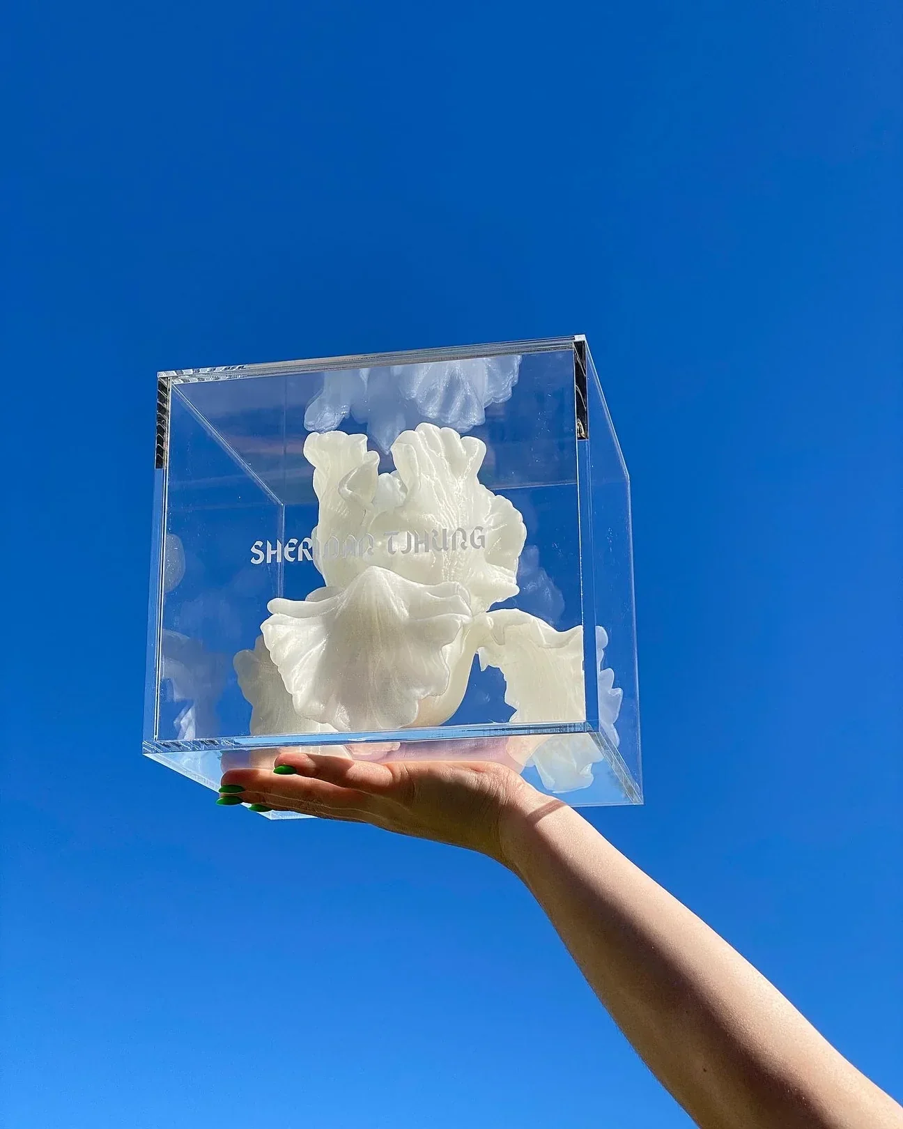 The Flower Bag by Sheridan Tjhung - Image 3